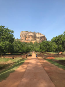 リトルサイエンティスト縮毛矯正