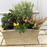 hair&care SunMOONのお花達