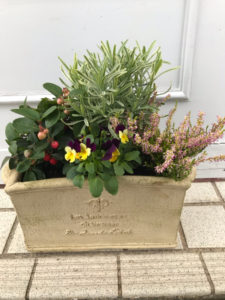 hair&care SunMOONのお花達