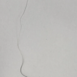 抜いてしまった白輪毛！