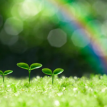 薬を勧めない薬剤師・予防医学士 智晶(Chiaki) 〜自己紹介〜　