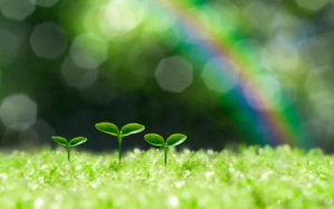 薬を勧めない薬剤師・予防医学士 智晶(Chiaki) 〜自己紹介〜　